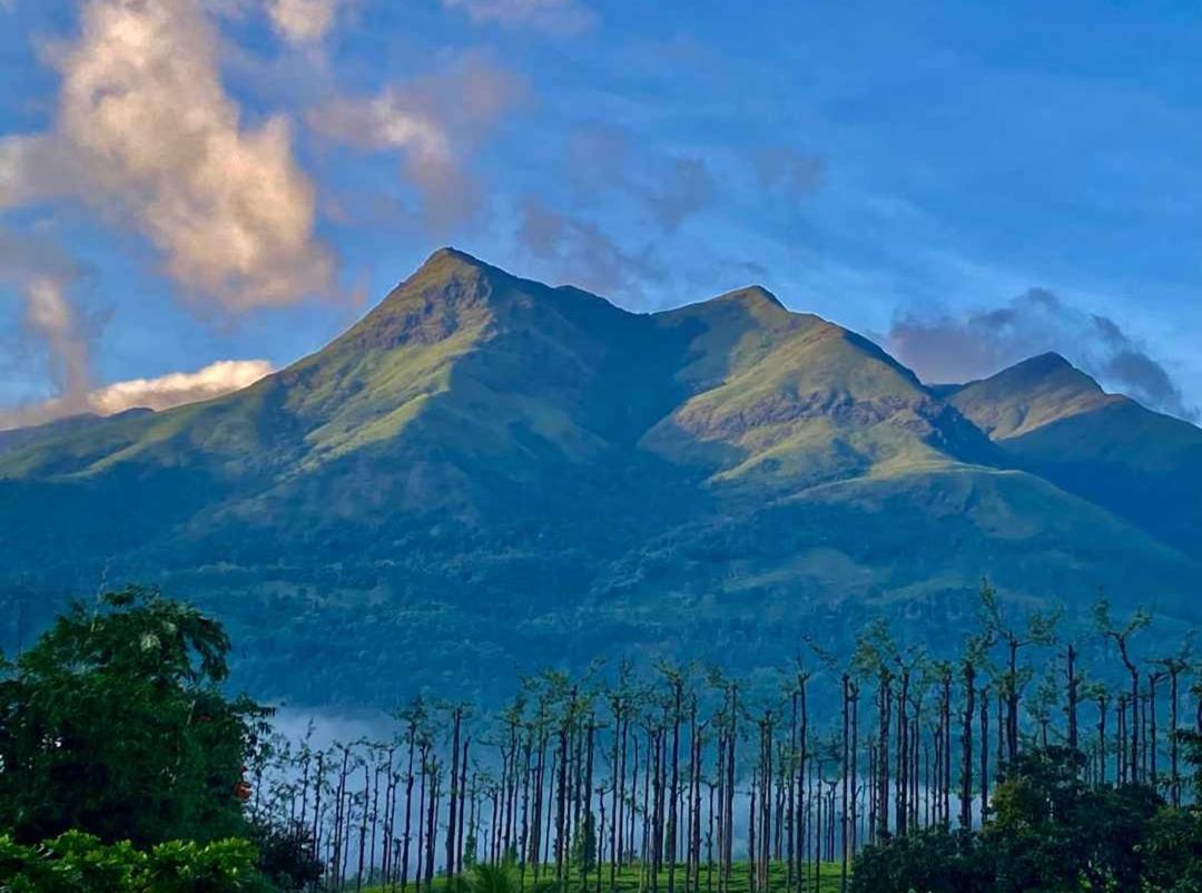 Jungle Valley Ayurvedic Spa Resort Meppādi Buitenkant foto