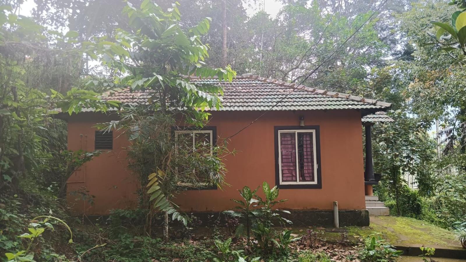 Jungle Valley Ayurvedic Spa Resort Meppādi Buitenkant foto