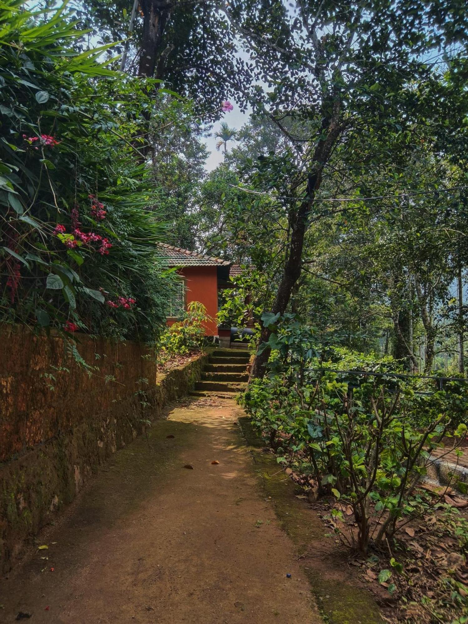 Jungle Valley Ayurvedic Spa Resort Meppādi Buitenkant foto