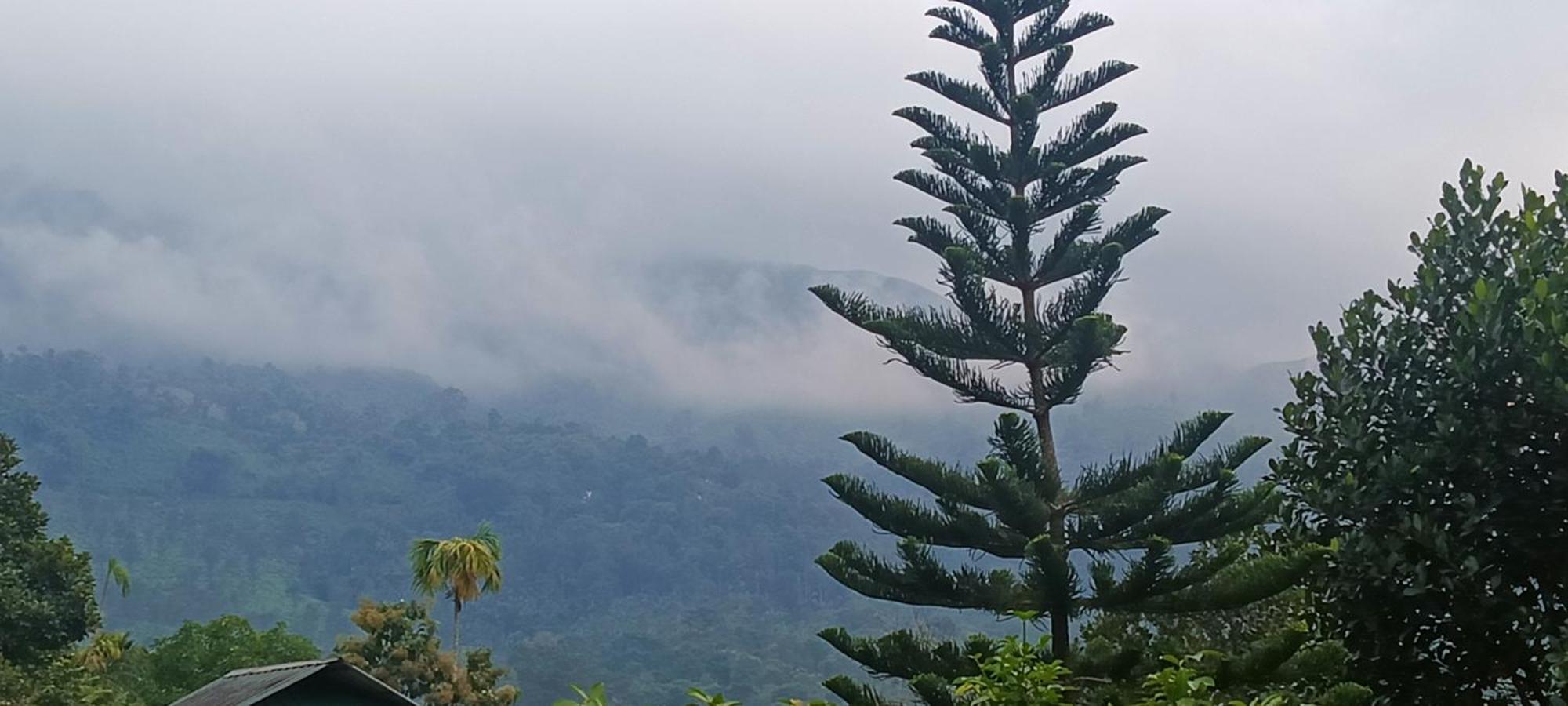 Jungle Valley Ayurvedic Spa Resort Meppādi Buitenkant foto