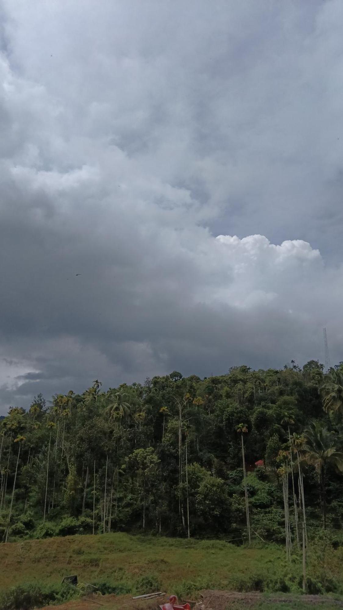 Jungle Valley Ayurvedic Spa Resort Meppādi Buitenkant foto