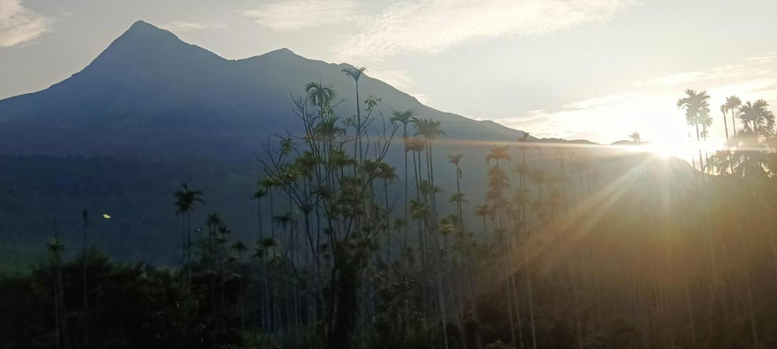 Jungle Valley Ayurvedic Spa Resort Meppādi Buitenkant foto