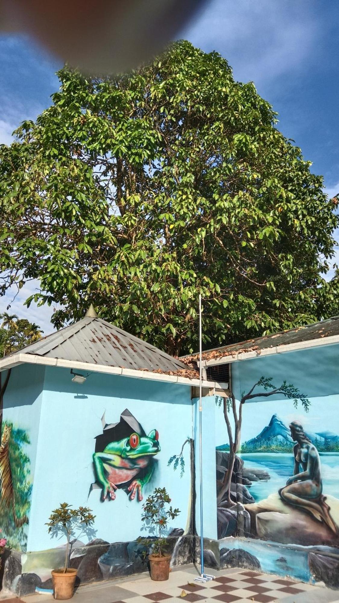 Jungle Valley Ayurvedic Spa Resort Meppādi Buitenkant foto