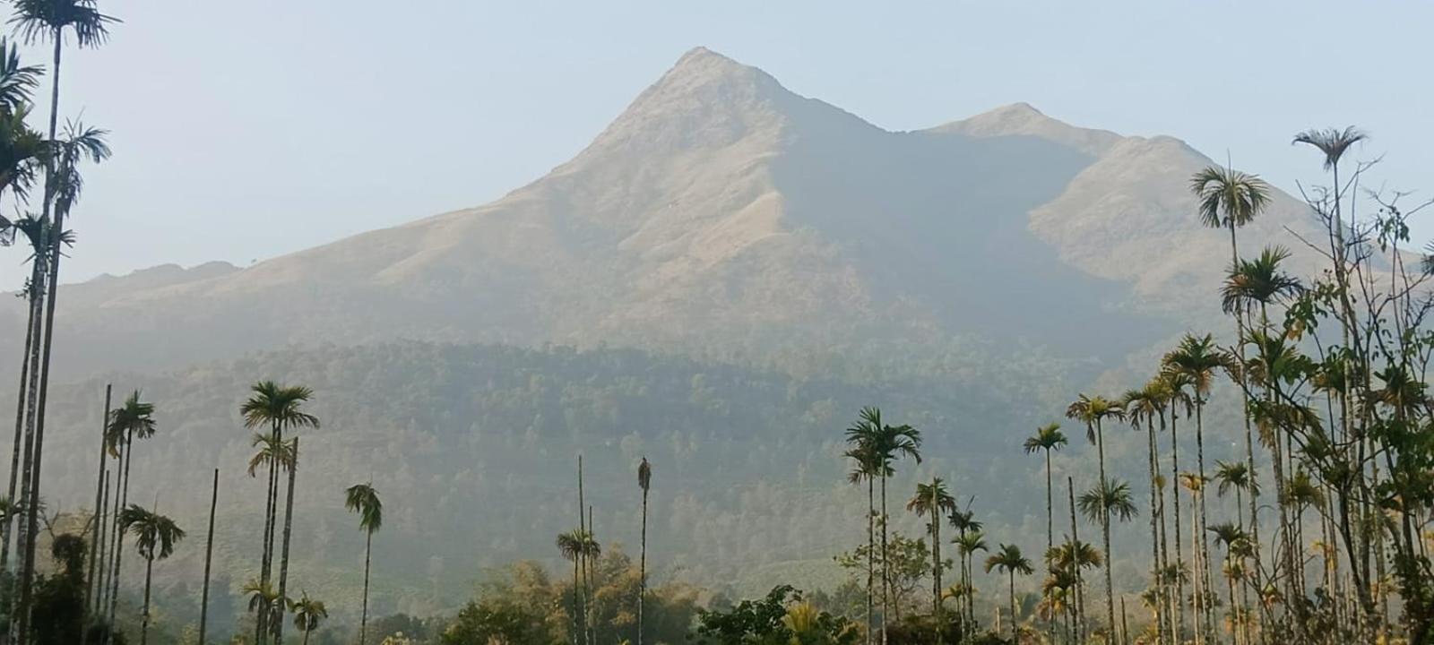 Jungle Valley Ayurvedic Spa Resort Meppādi Buitenkant foto